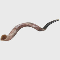Shofar 24-30''