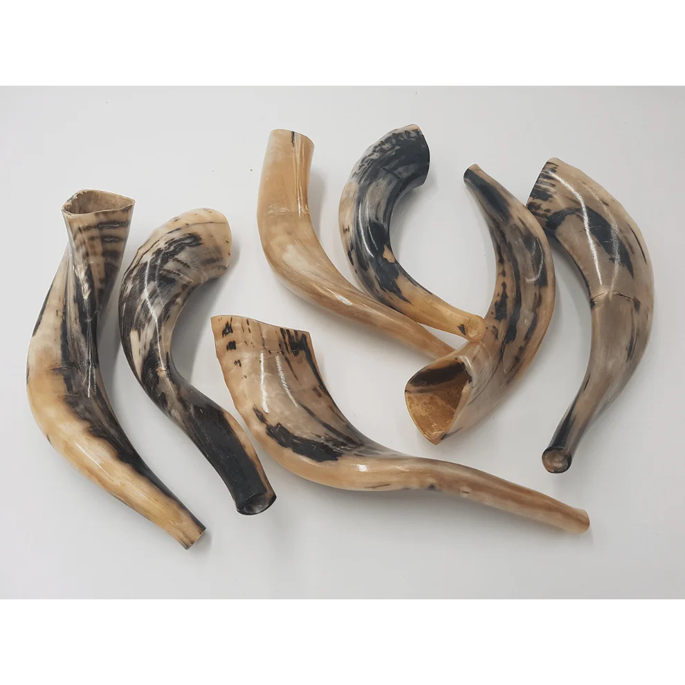 Kosher Small  Shofar 13.5''-15.8''