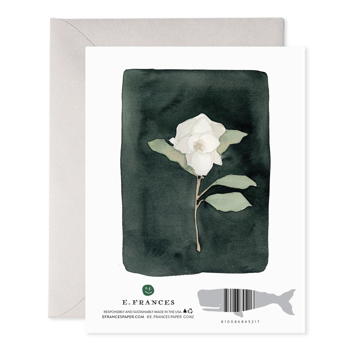 deepest Sympathy- Condolences Card