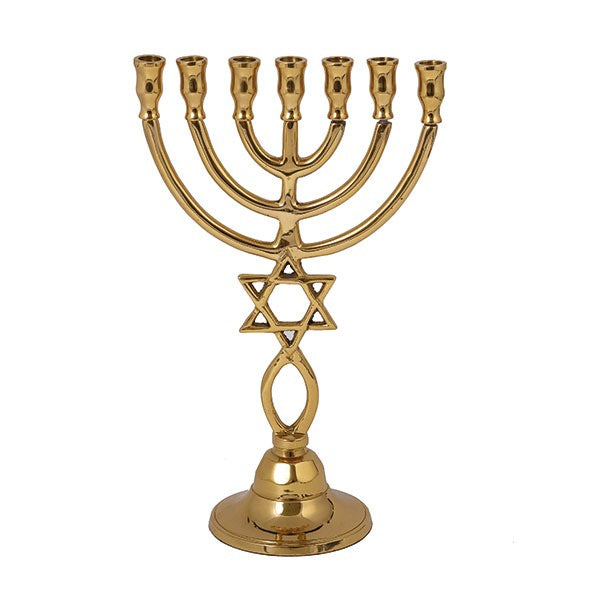 Bronze 24cm Menorah & Magen David