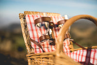 Piccadilly picnic Basket for 2