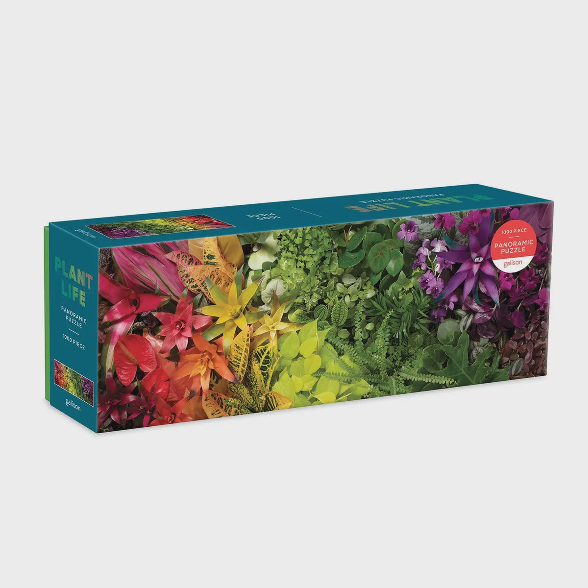 Plant Life Puzzle