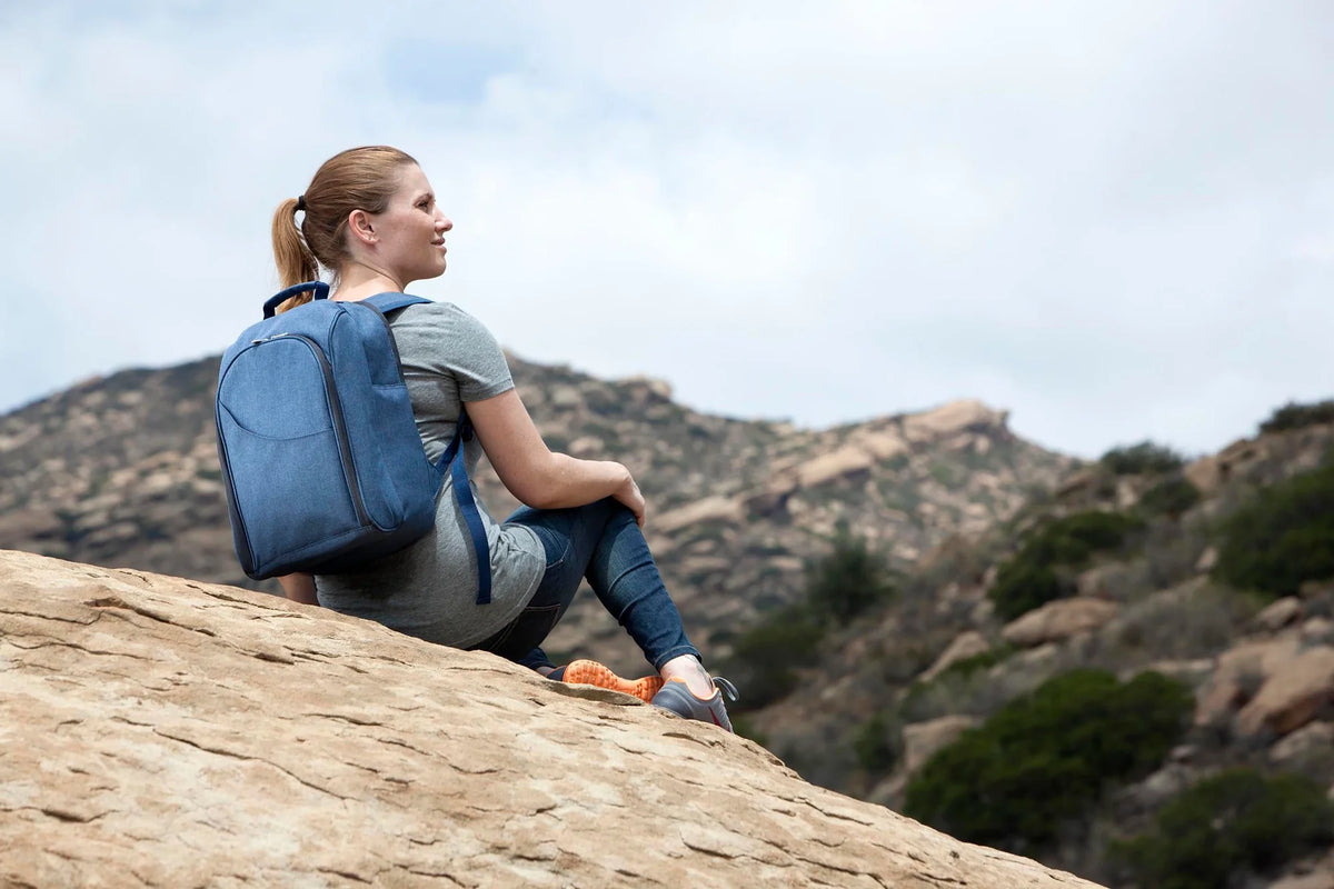 Backpack Picnic Cooler  Navy Blue