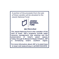 Frosted Premium Chanukah Candles