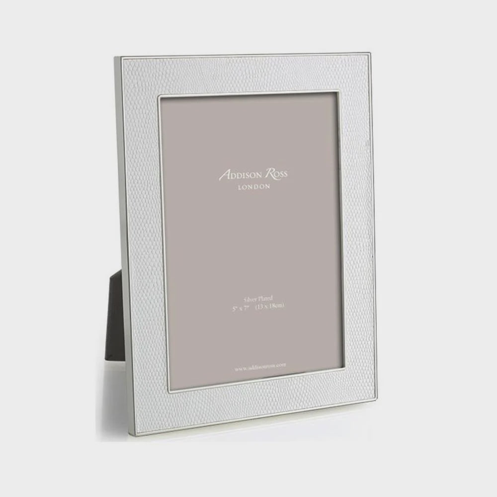 Silver 4x6 Picture Frame with White Faux Snake Trim