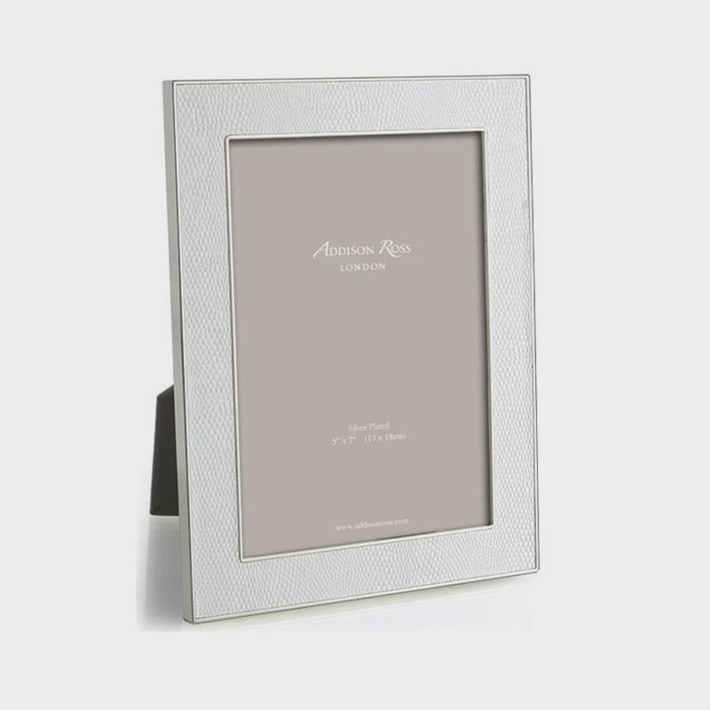 Silver 5x7 Picture Frame with Faux Snake Trim