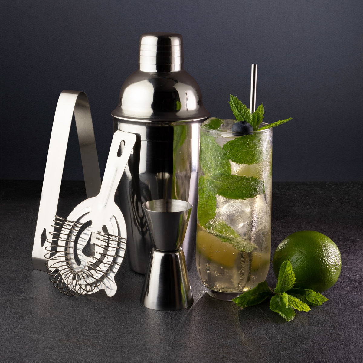 5 pc Stainless Steel Cocktail Set